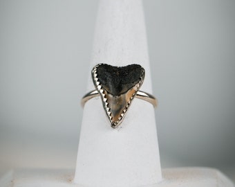 Shark Tooth Ring