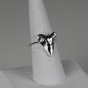 Zilveren haaientandring