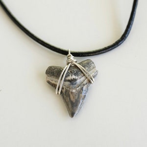 Slide Knot Shark Tooth Necklace