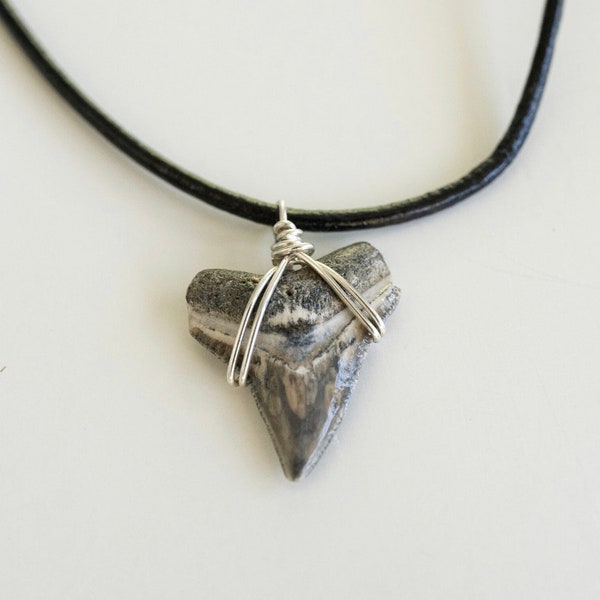 Shop Shark Tooth Necklace - Etsy