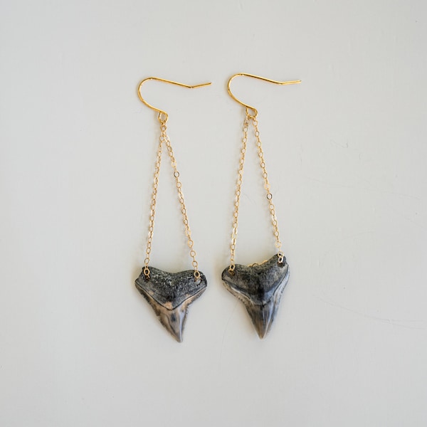 Shark Tooth Dangles