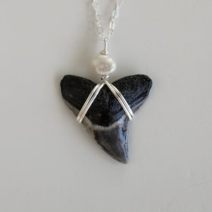 Shark Tooth Necklace with Freshwater Pearl