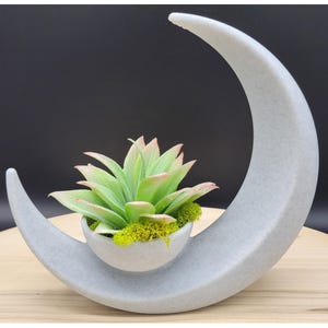 May include: A decorative, light gray crescent moon-shaped planter. The planter holds a green and pink succulent plant with a bed of green moss. The planter is made of a speckled, textured material.