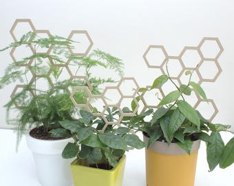 Honeycomb Plant Trellis, Indoor Plant Support, Houseplant Stake