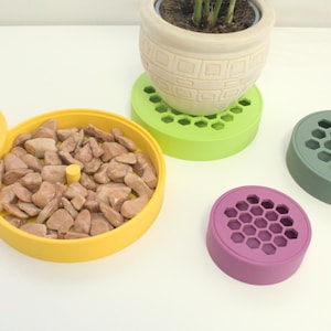 May include: A collection of colorful plant accessories. A yellow tray with a honeycomb lid holds small stones. A green, a purple, and a gray honeycomb-patterned plant base are also shown. A beige pot with a plant sits on a green base.