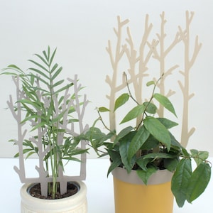 May include: Two potted plants with decorative wooden branch supports. The plant on the left has green leaves and a beige pot. The plant on the right has green leaves and a yellow pot.