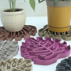 May include: Set of six plant saucers in various colors, shaped like monstera leaves. The saucers are made of a durable, flexible material and are designed to catch excess water from potted plants.
