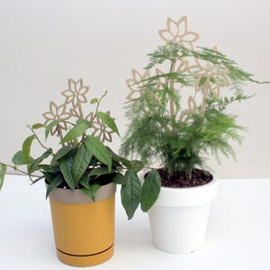 Flowers Trellis, For Indoor Plants, Houseplant Trellis, Plant Stake, Plant Support Growth