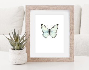Blue Butterfly - Delicate nature insect watercolor print