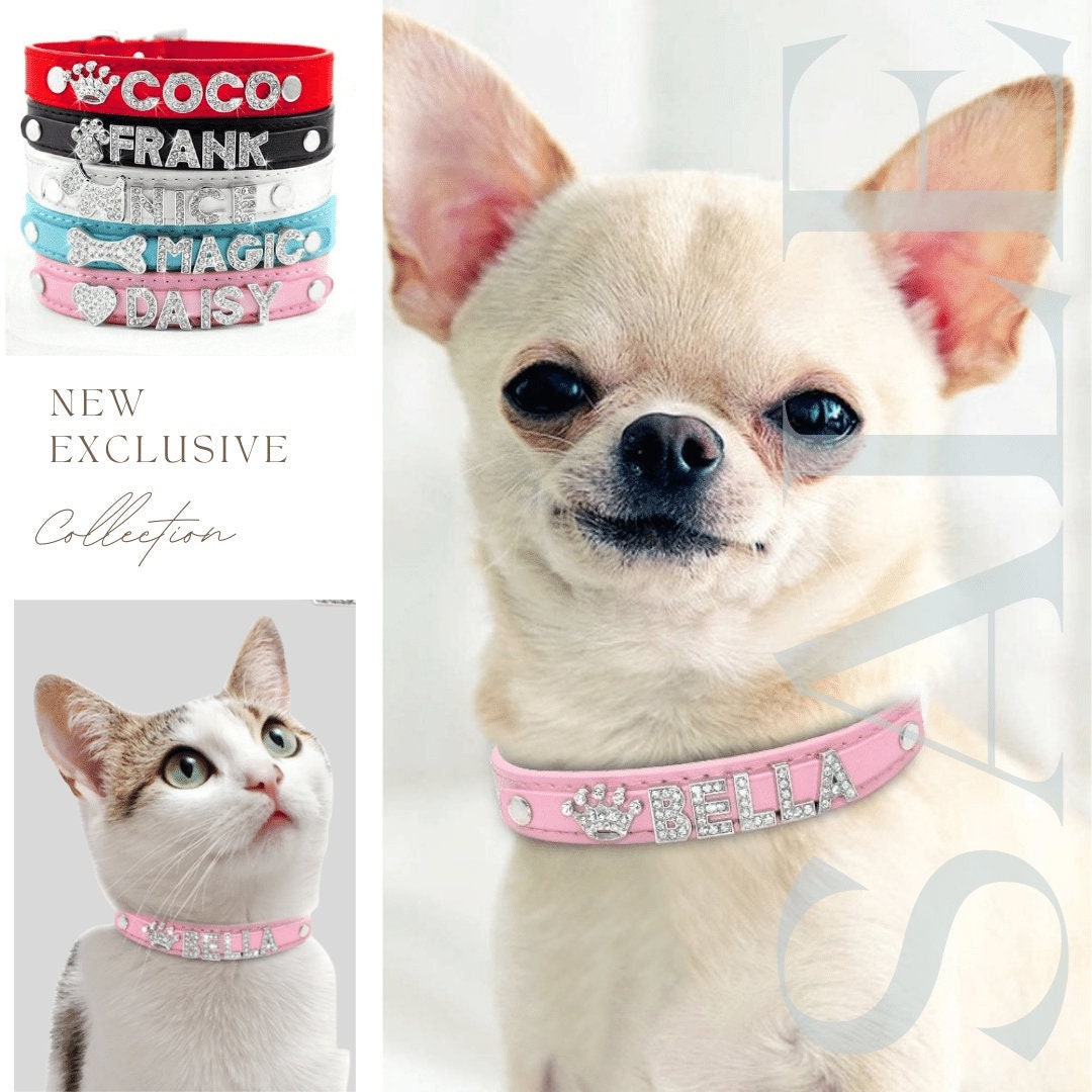 Buy Custom Cute Dog Collar Personalized Collar With Rhinestone Online in  India 
