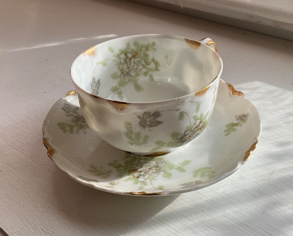 Antique Haviland Limoges Fine China Greenwood Bros. Garden