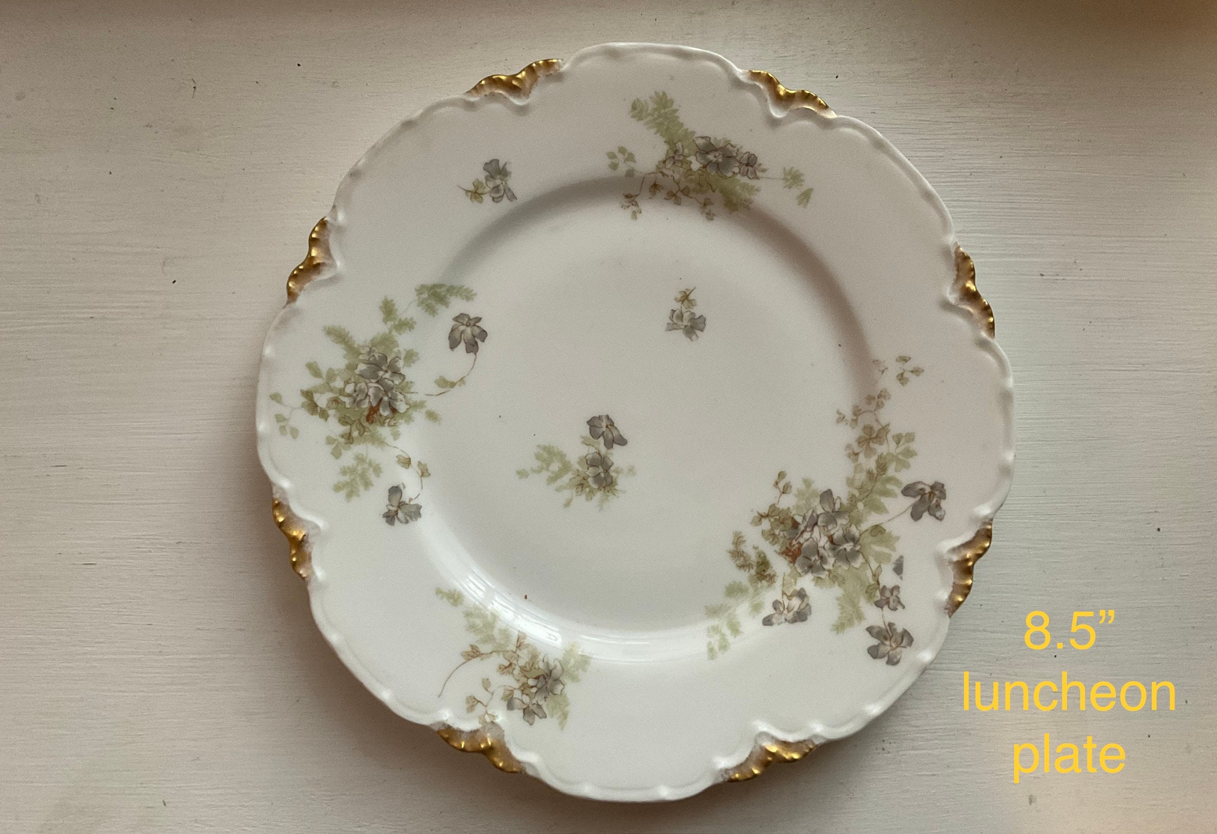 最新のデザイン Antique Haviland Limoges Fine China Greenwood Bros. Garden 食器
