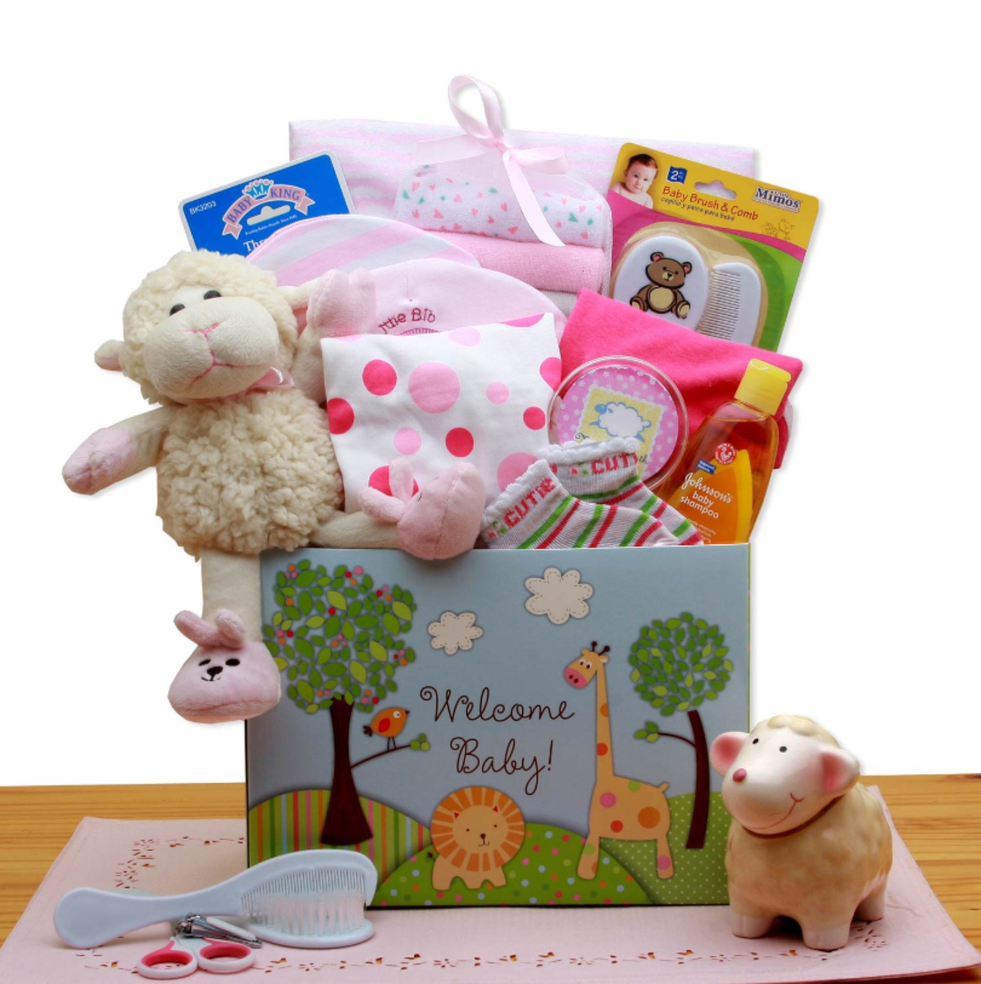 Welcome Baby Girl Gift Box, Baby Shower Gift, New Baby Girl Gift
