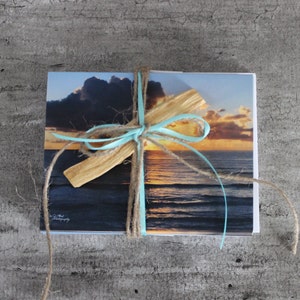 All occasion unique greeting and note cards created with original images.
