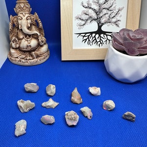 May include: A collection of rough, gray opal stones with flashes of color are scattered on a blue surface. A beige statue of a seated deity and a framed tree art piece are also present. A small succulent plant in a white pot completes the display.