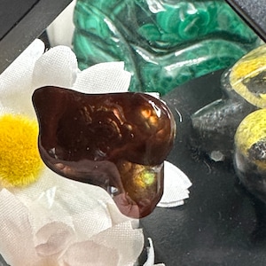May include: A polished, dark brown gemstone with a glossy surface, possibly a cabochon, rests on a white flower with a yellow center. The gemstone has a unique shape and appears to be translucent in some areas. Other decorative items are visible in the background.