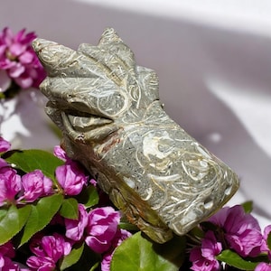Shell Stone Fossil Dragons Skull
