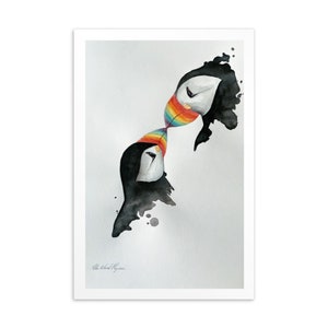 Carte postale Macareux moine « Pride » (Fratercula arctica)