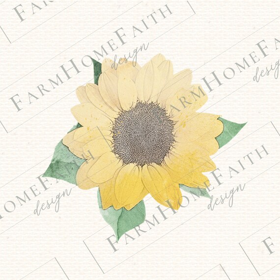 Watercolor Sunflower Farmhouse Printable Clip Art Bundle PNG ...