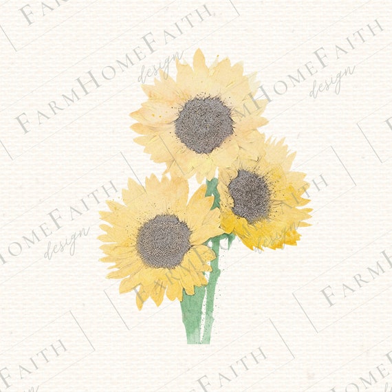 Watercolor Sunflower Farmhouse Printable Clip Art Bundle PNG ...
