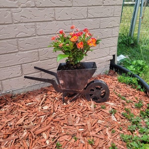 Garten Schubkarre, Country Décor, 3D Schubkarre, Vintage Schubkarre, Blumenkorb
