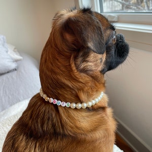 May include: A brown and black dog wearing a pearl necklace with the name "LOUIS" spelled out in colorful beads.