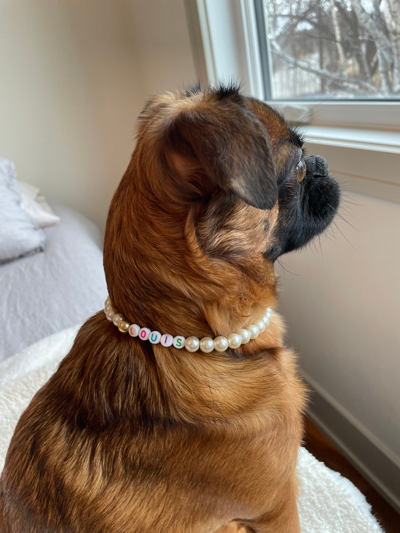 May include: A brown and black dog wearing a pearl necklace with the name "LOUIS" spelled out in colorful beads.