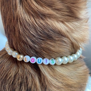 May include: A white pearl dog collar with the name "LOUIS" spelled out in colorful letters.