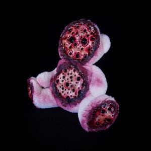 Puede incluir: Un oso de peluche rosa y blanco con detalles en rojo oscuro y negro. El oso tiene heridas abiertas en la cabeza, el pecho y el pie, revelando un patrón de círculos rojo oscuro y negro. El fondo es negro sólido.