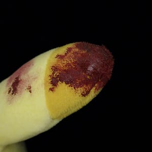 Pikachu, peluche de Pokémon de terror espeluznante, inquietante, espeluznante, embrujado, animal de peluche impactante, aterrador, monstruo con dientes, hecho a mano, carnoso, sangriento, ceniza. imagen 11