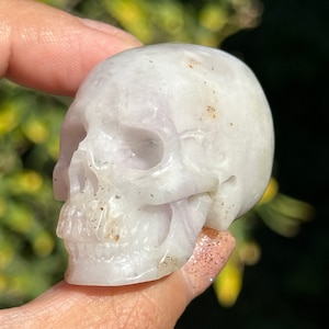 2” Fluorite w/ inclusions Crystal Skull HQ gemstone detailed Carving guardian skulls metaphysical