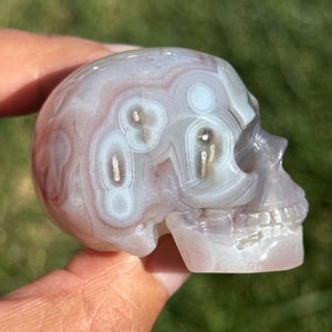 2” Mozambique Agate Crystal Skull HQ gemstone Carving guardian metaphysical Rare