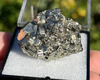 Pyrite Mineral Specimen w/ Box | Collectors HQ Natural Crystal Cluster Peru