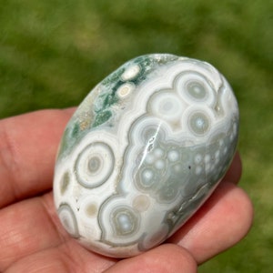 Oldstock Ocean Jasper HQ Gray palmstone white concentric orbs rare 51mm