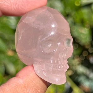 Star Rose Quartz Crystal Skull faceted HQ pink gemstone Carving guardian skulls