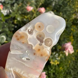 May include: A polished, irregularly shaped stone with a white and pale pink base. The stone features circular, eye-like patterns in shades of tan and brown, with a smooth, glossy surface. The background shows blurred green foliage and pink flowers.