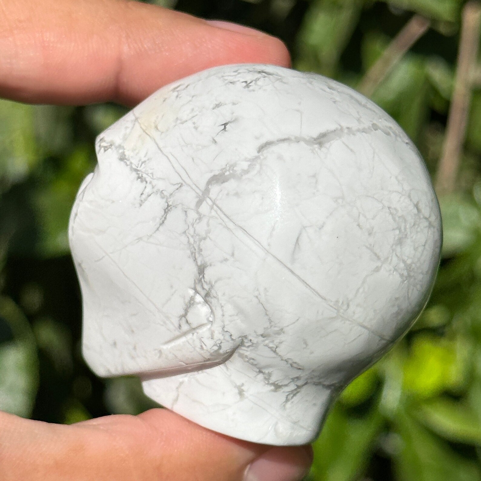 2” Howlite Alien Crystal Carved Gemstone Gray Veins White Starbeing Ufo ...