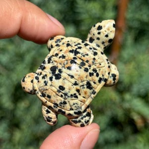 May include: A small, hand-carved turtle figurine made from dalmatian jasper. The turtle has a black and white spotted pattern and is carved with detailed shell markings.
