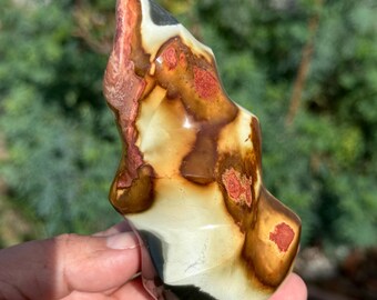 Polychrome Jasper Flame HQ Gemstone Carving Crystal Sculpture Madagascar 4.4“