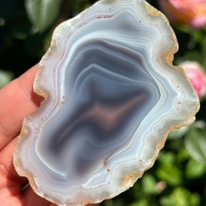 May include: A polished agate slice featuring concentric bands of translucent white, soft gray, and deep charcoal. The stone has an irregular, organic shape with a rough, textured outer edge and small reddish-brown mineral inclusions throughout.