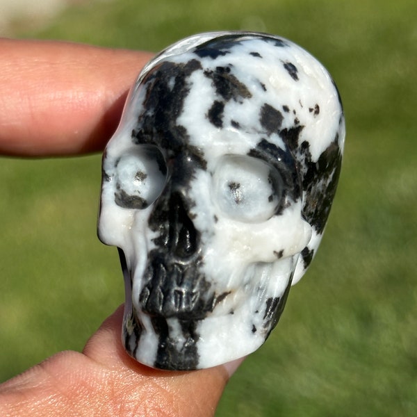 1.9” Zebra Jasper Crystal Skull HQ gemstone detailed Carving