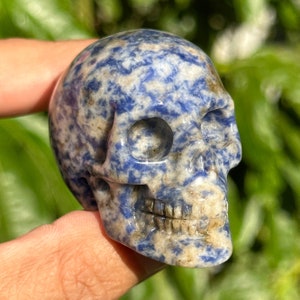 2” Sodalite Crystal Skull speckled blue HQ gemstone Carving guardian skulls Halloween