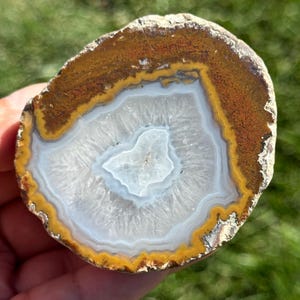 May include: A cross-section of a polished agate stone, showcasing concentric bands of color. The outer edge is a mix of brown and orange, followed by a yellow band, a white layer, and a central blue-white core. The stone is held in a hand.