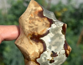 Polychrome Jasper Flame HQ Gemstone Carving Crystal Sculpture Madagascar 3“