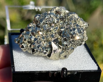 Pyrite Mineral Specimen w/ Box | Collectors HQ Natural Crystal Cluster Peru
