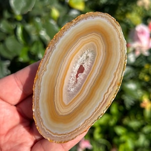Ethereal Glow Banded Agate Slice | HQ Polished Translucent Slab Brazil 3.7”