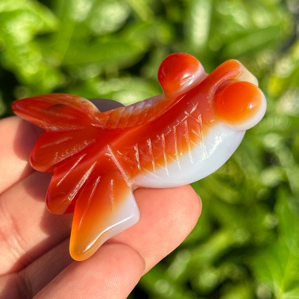 Carnelian Fish Carving HQ agate Lucky goldfish pendant