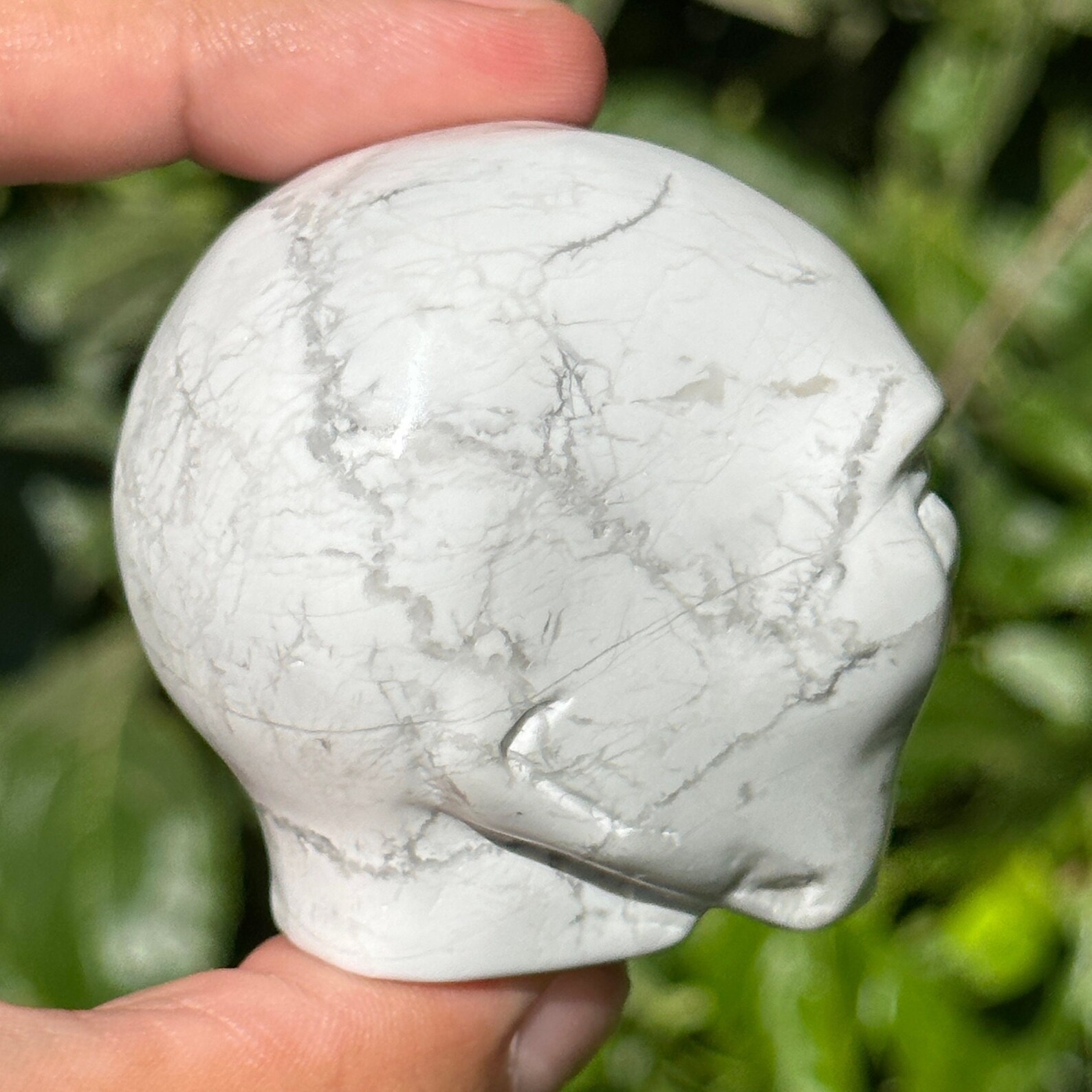 2” Howlite Alien Crystal Carved Gemstone Gray Veins White Starbeing Ufo ...