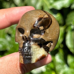2” Septarian Crystal Skull dragon stone HQ gemstone Carving guardian skulls calcite Halloween