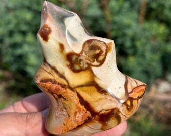 Polychrome Jasper Flame HQ Gemstone Carving Crystal Sculpture Madagascar 3.6“